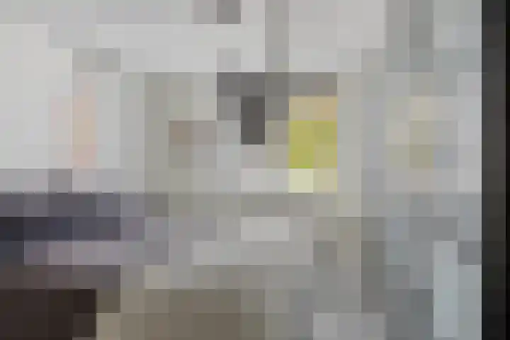 Moerven 272 Veghel thumbnail 20