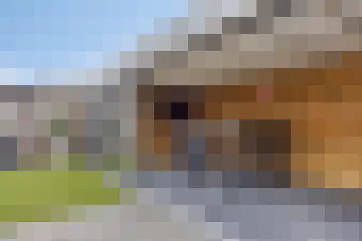 Moerven 272 Veghel thumbnail 32