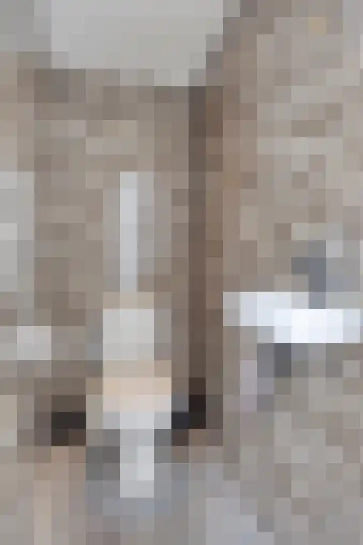Moerven 272 Veghel thumbnail 35