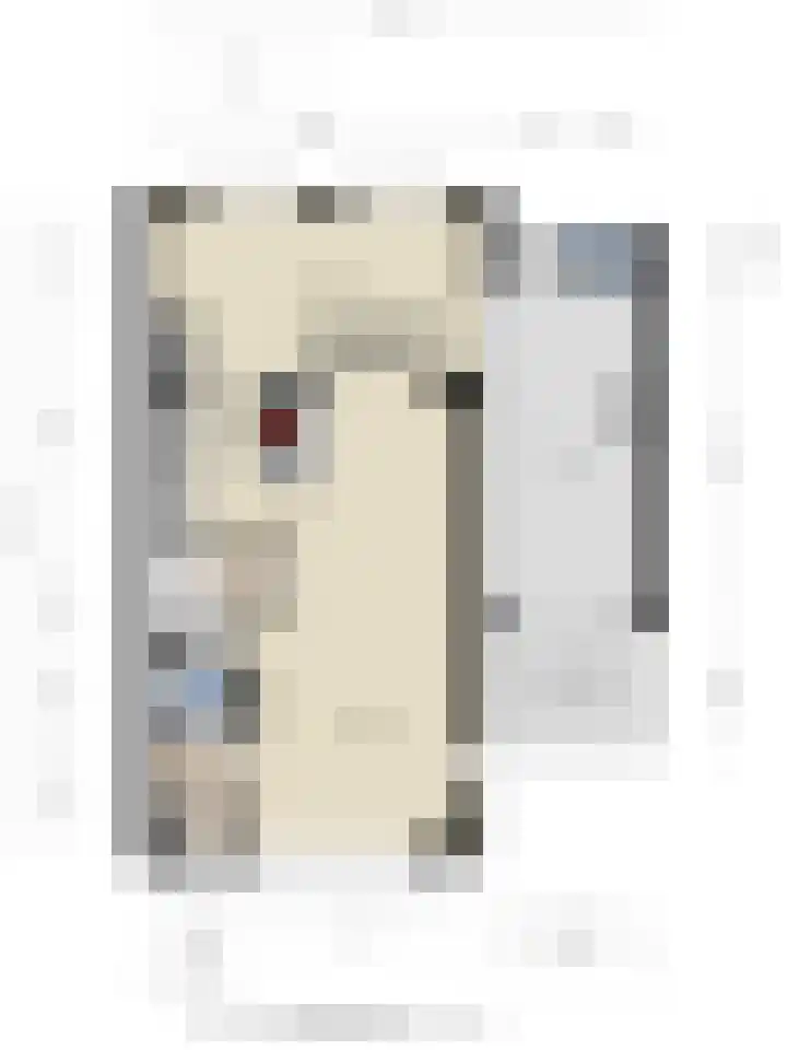 Moerven 272 Veghel thumbnail 36