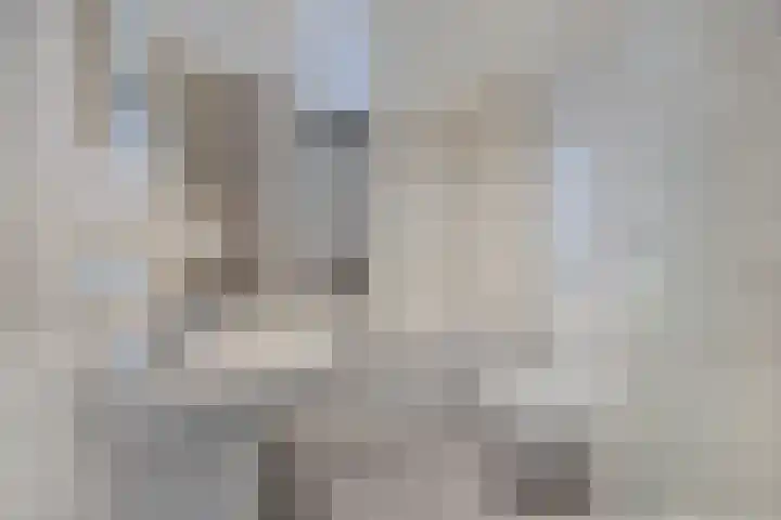 Moerven 272 Veghel thumbnail 5