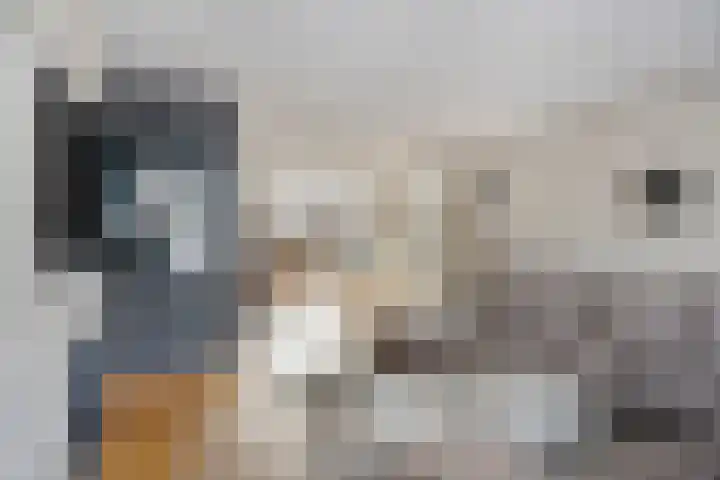Moerven 272 Veghel thumbnail 8