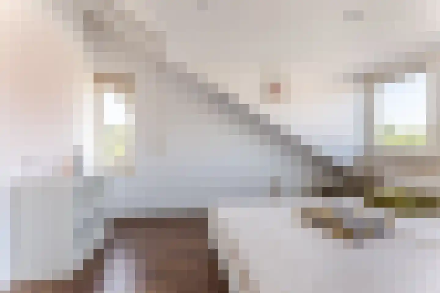 Moerven 326 Veghel thumbnail 22