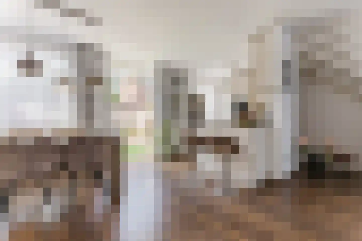 Moerven 326 Veghel thumbnail 8
