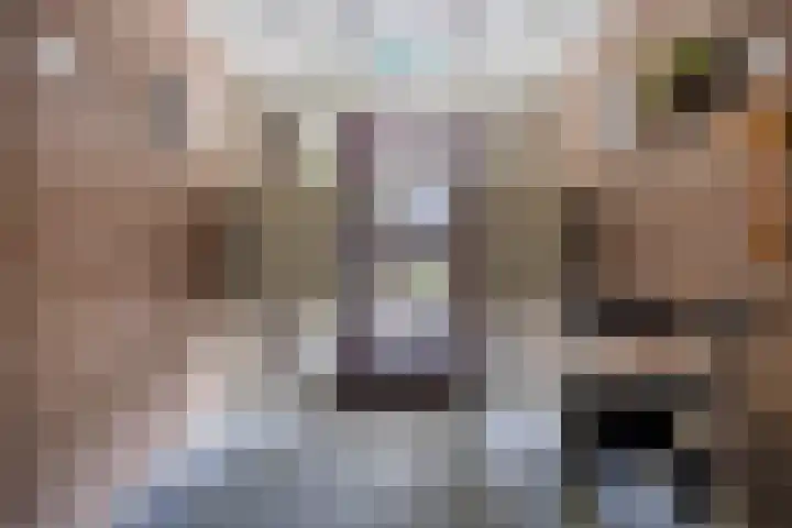 Moerven 361 Veghel thumbnail 10