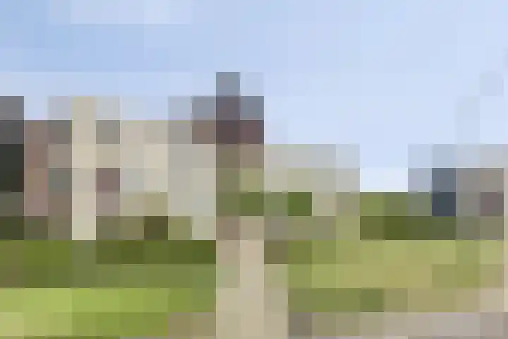 Moerven 361 Veghel thumbnail 6