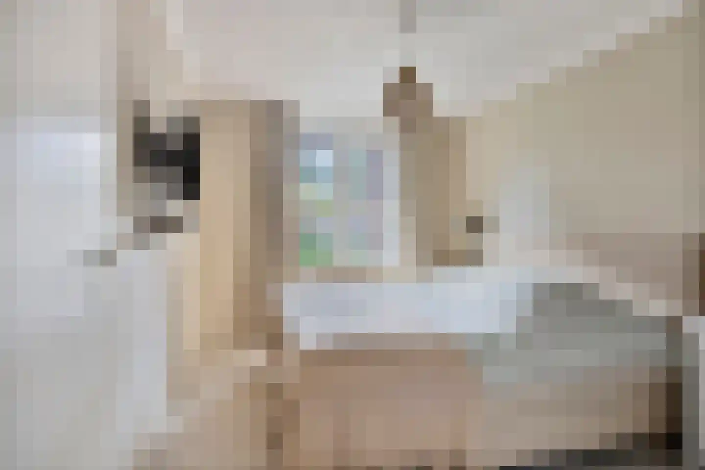 Moerven 4 Veghel thumbnail 5