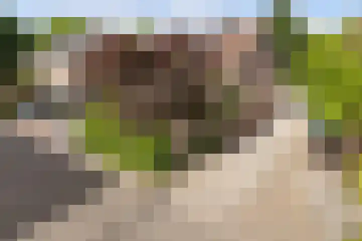 Moerverweg 38 Sint Pancras thumbnail 5