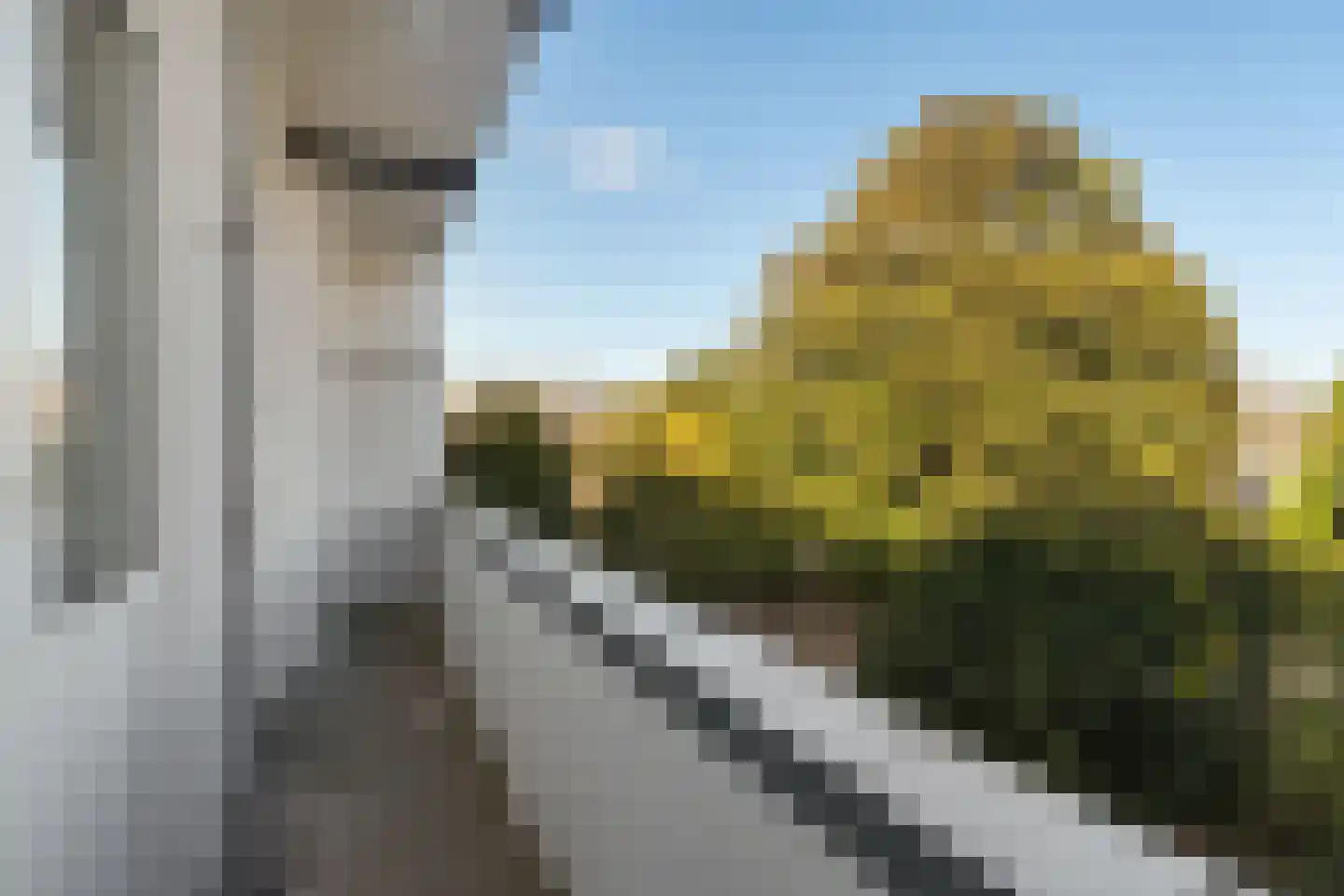 Moerweg 120 Den Haag thumbnail 26