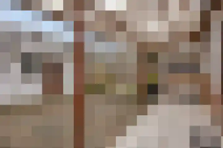 Moerweg 214 Den Haag thumbnail 19