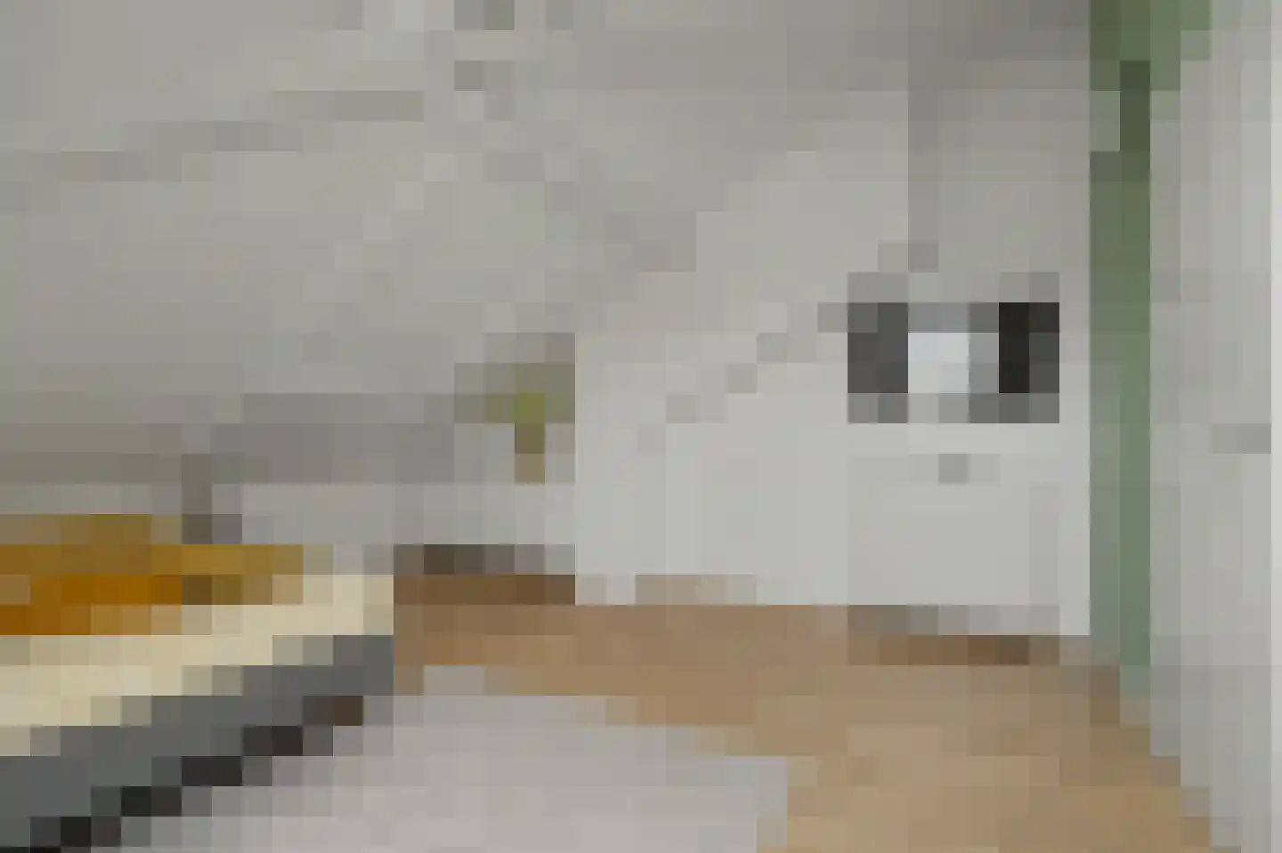 Moerweide 12 Reeuwijk thumbnail 42