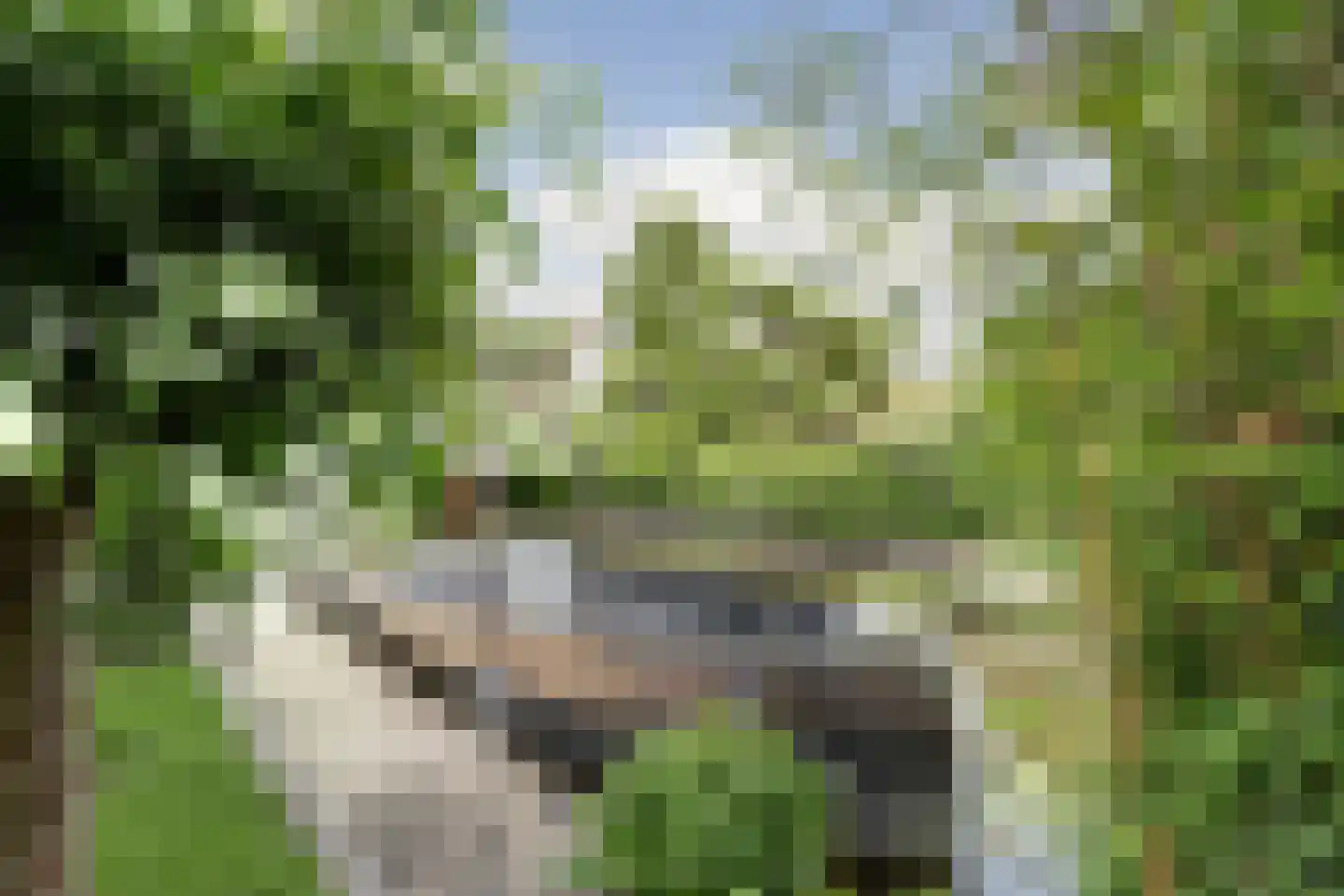 Moerweide 12 Reeuwijk thumbnail 50