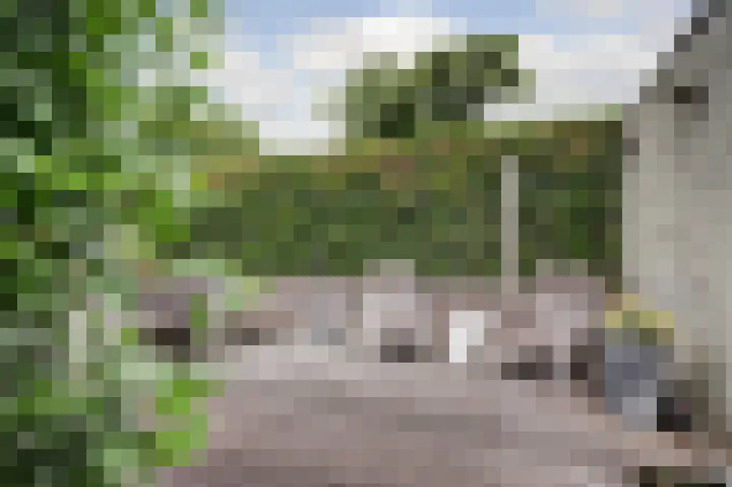 Moerweide 12 Reeuwijk thumbnail 52