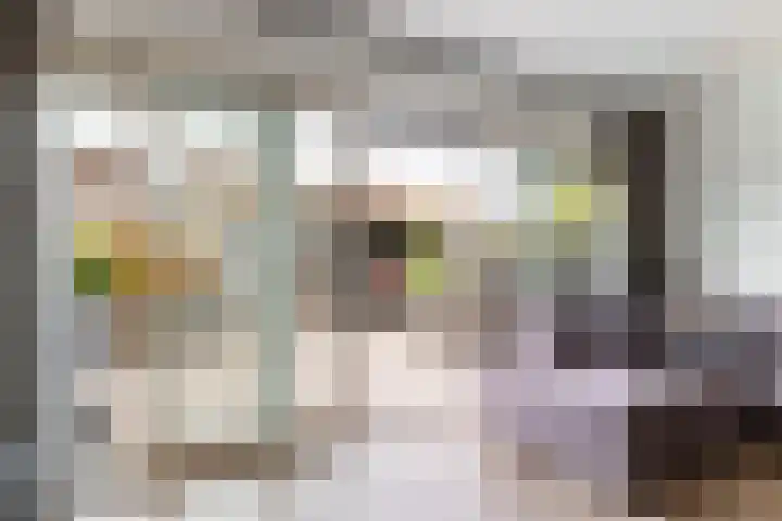 Moerweide 35 Reeuwijk thumbnail 13