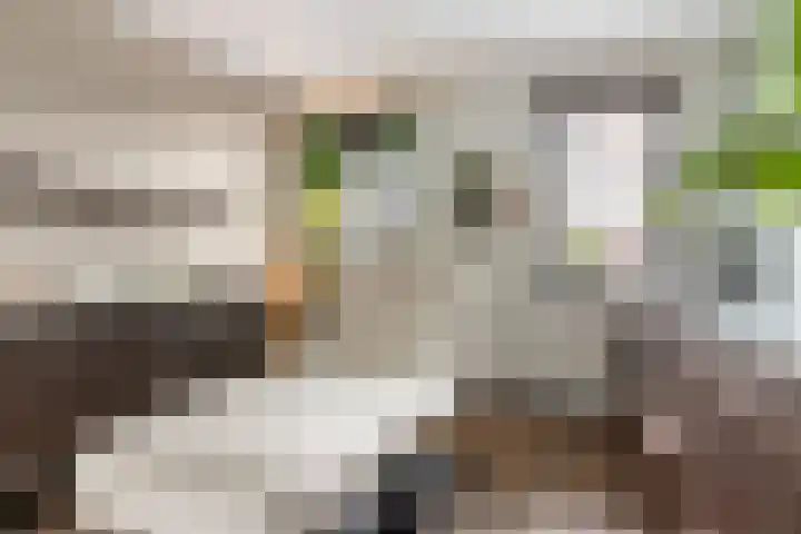 Moerweide 35 Reeuwijk thumbnail 27