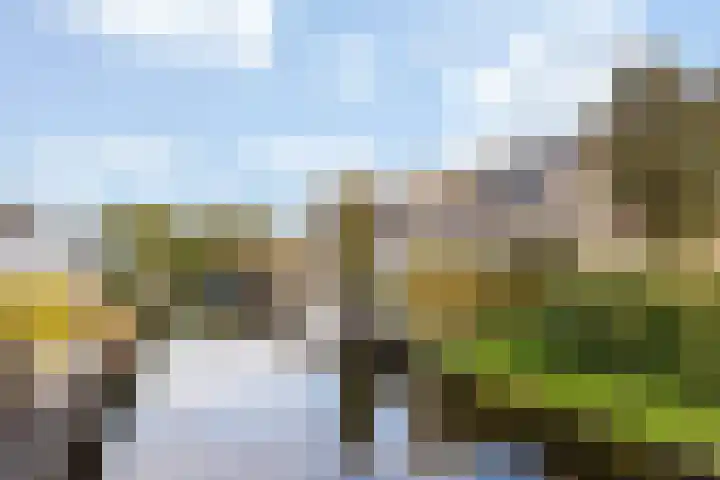 Moerweide 35 Reeuwijk thumbnail 46