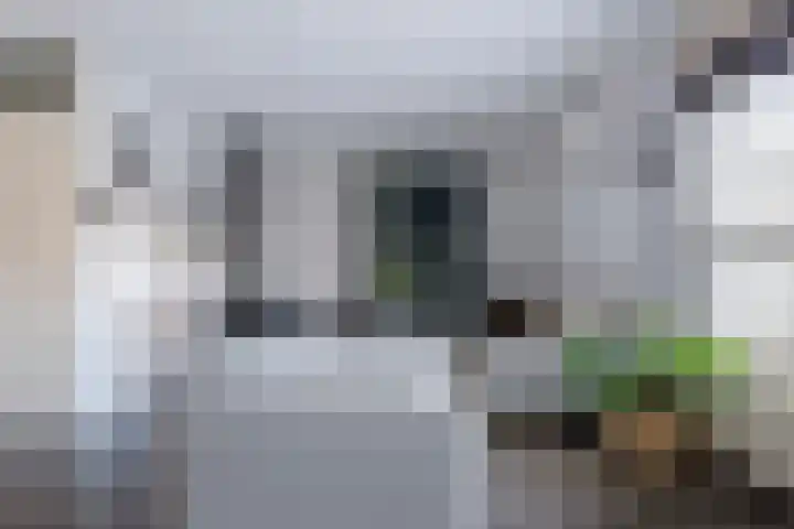 Moerweide 7 Reeuwijk thumbnail 10