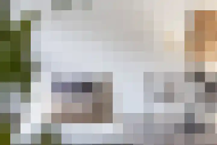 Moerweide 7 Reeuwijk thumbnail 14