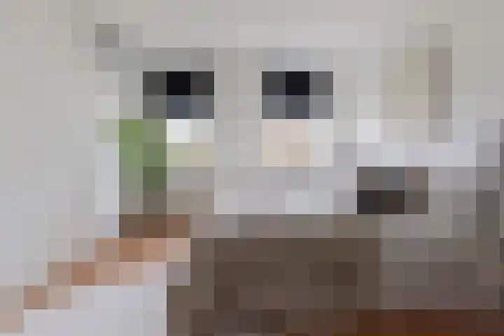 Moerweide 7 Reeuwijk thumbnail 26