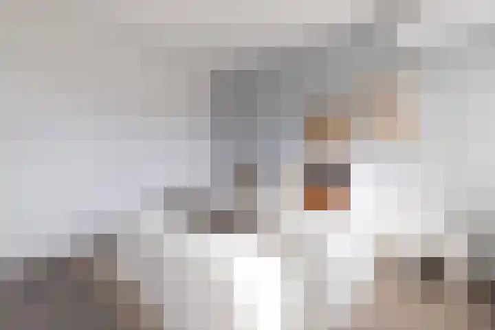 Moerweide 7 Reeuwijk thumbnail 32
