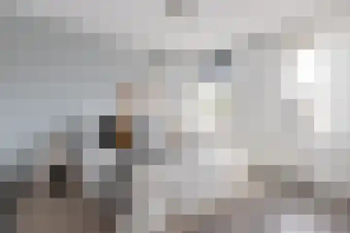 Moerweide 7 Reeuwijk thumbnail 5
