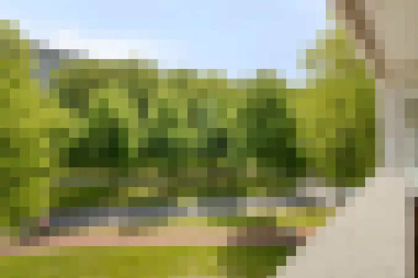 Moerwijk 54 B Breda thumbnail 5