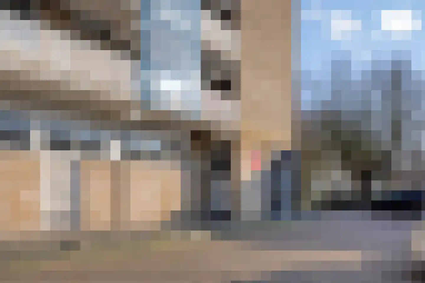 Moerwijk 59 C Breda thumbnail 7