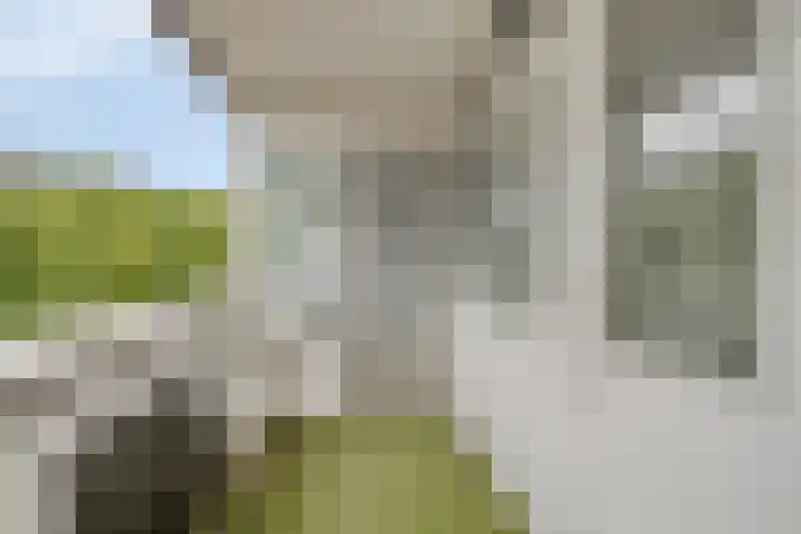 Moerwijk 63 C Breda thumbnail 11