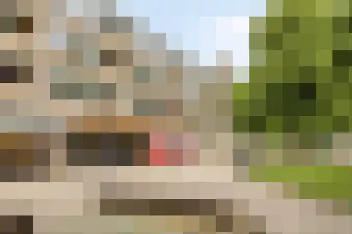 Moerwijk 63 C Breda thumbnail 33