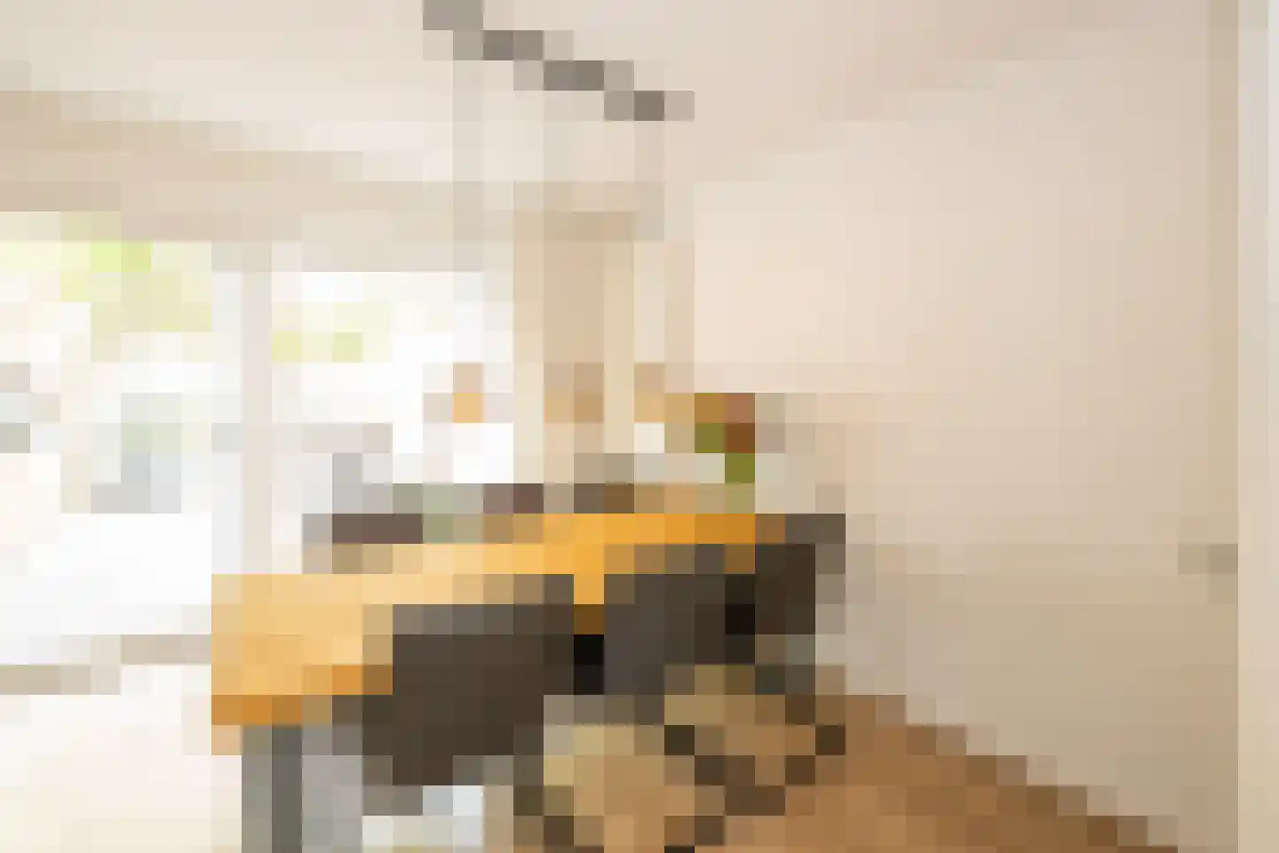 Moesdaal 68 Maastricht thumbnail 19