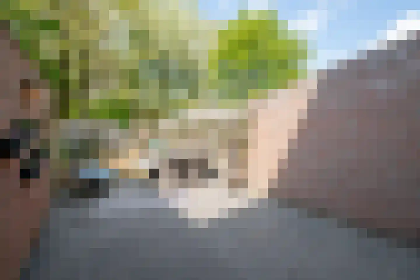 Moesdaal 68 Maastricht thumbnail 21