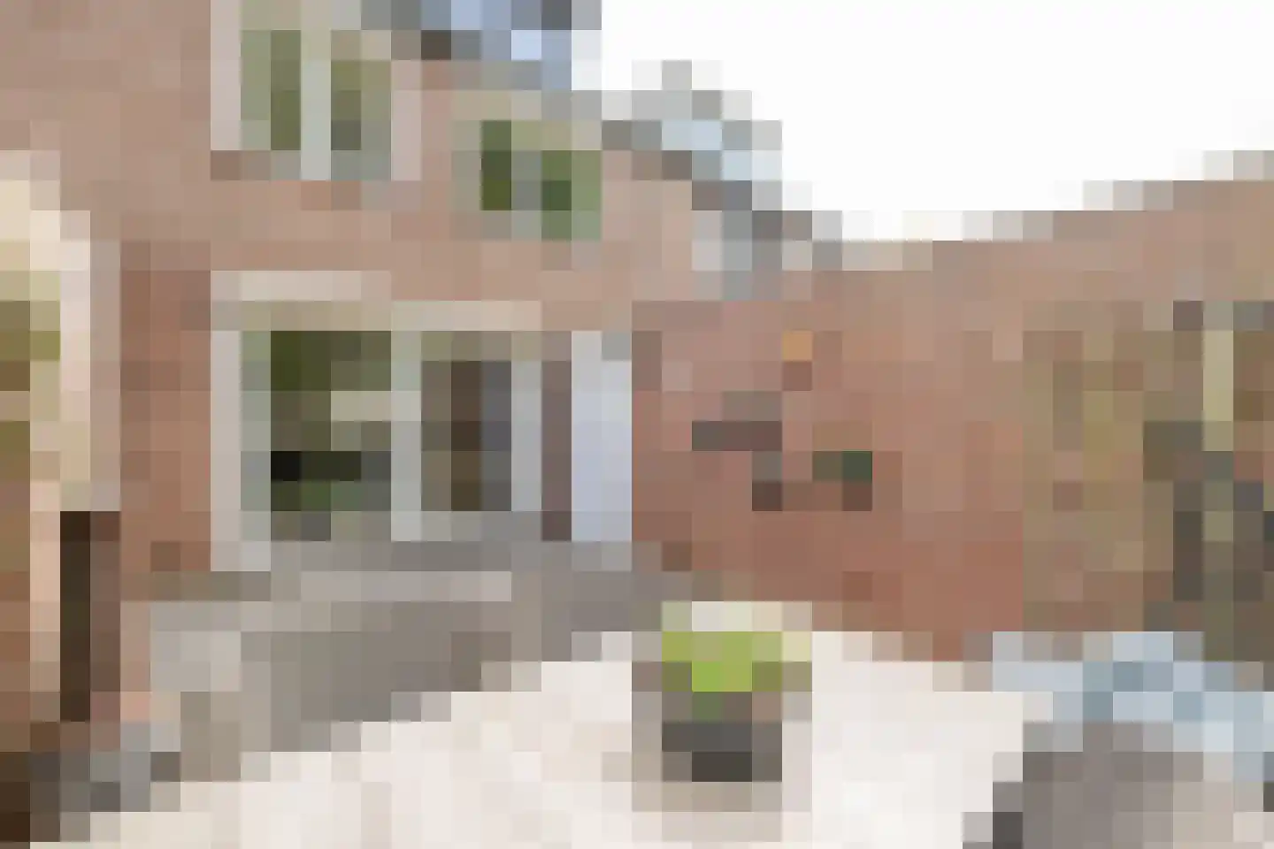Moesdaal 68 Maastricht thumbnail 22