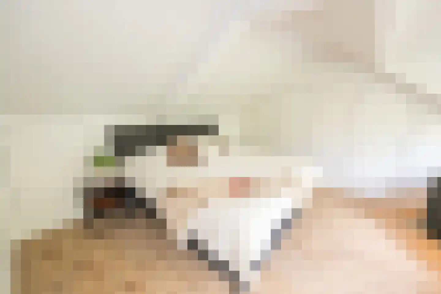 Moesdaal 68 Maastricht thumbnail 38