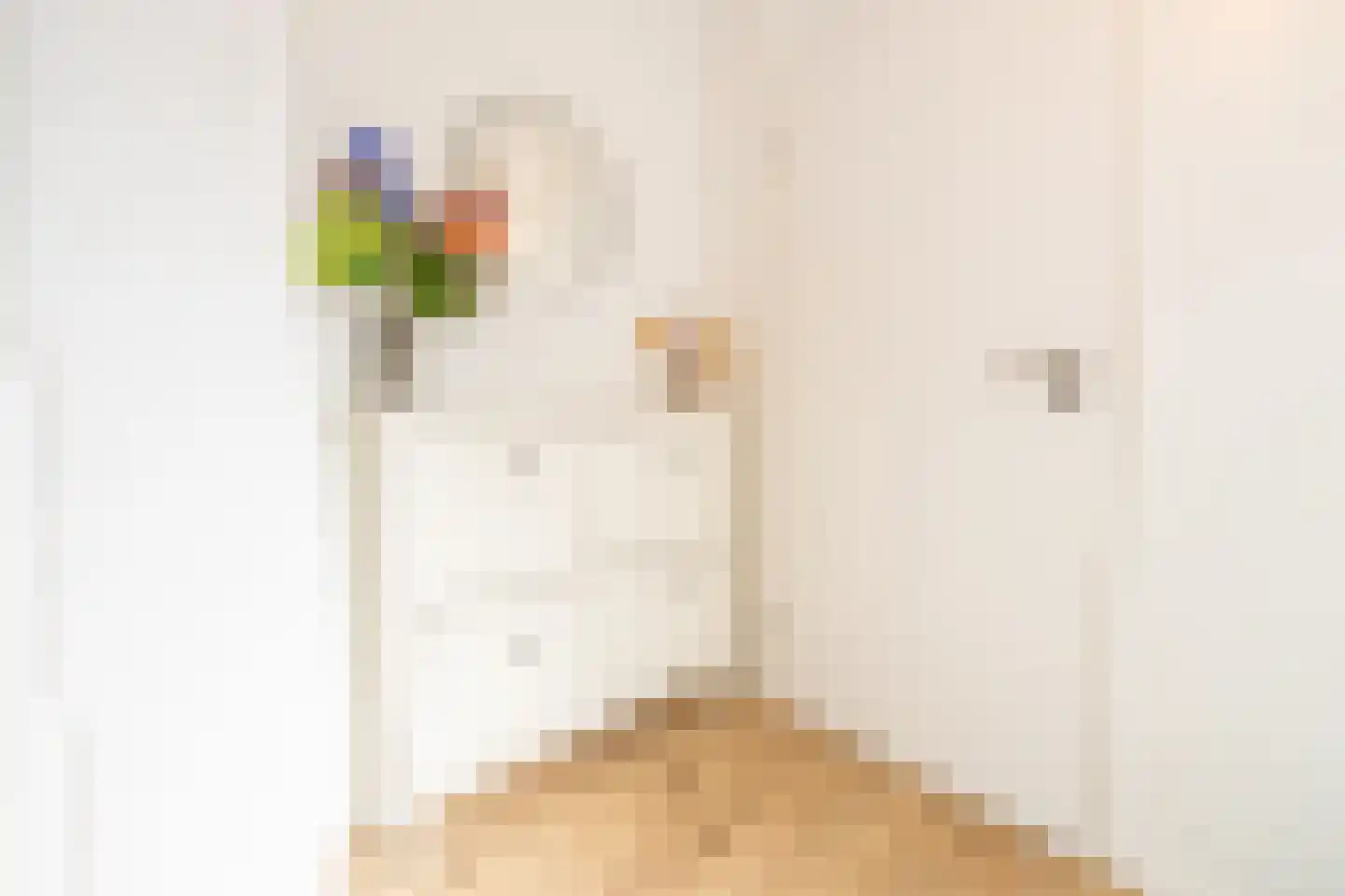 Moesdaal 68 Maastricht thumbnail 8