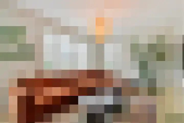 Moesdistel 10 Coevorden thumbnail 12