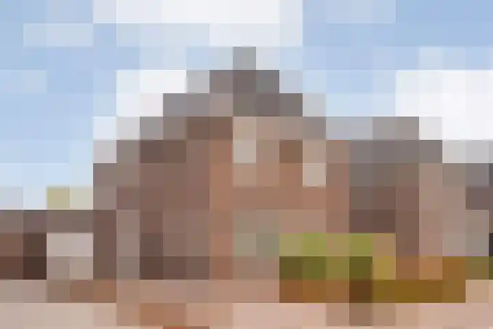 Moesdistel 10 Coevorden thumbnail 4