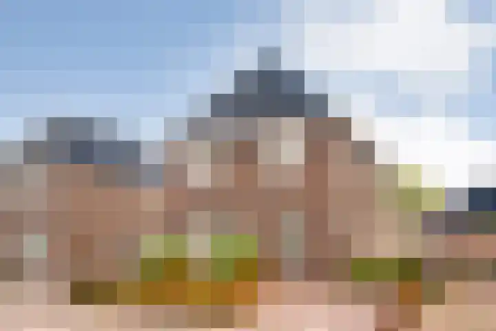 Moesdistel 10 Coevorden thumbnail 5
