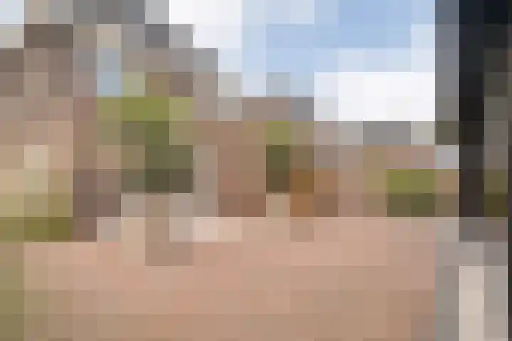 Moesdistel 10 Coevorden thumbnail 52