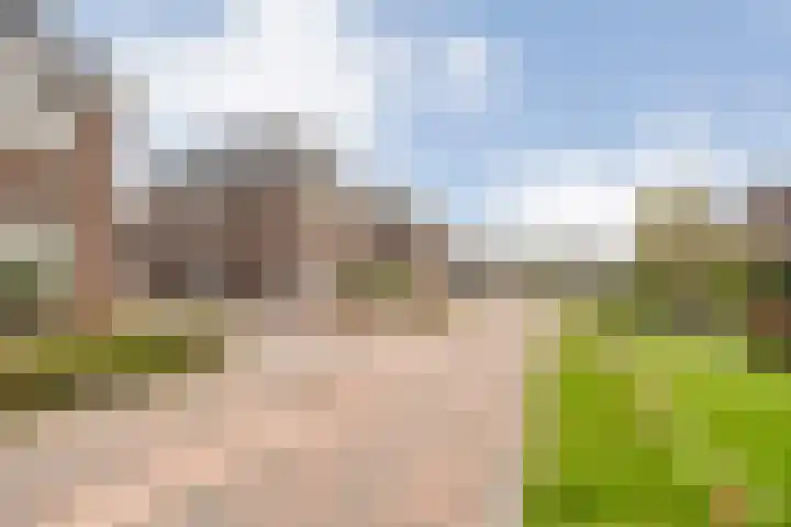 Moesdistel 10 Coevorden thumbnail 6