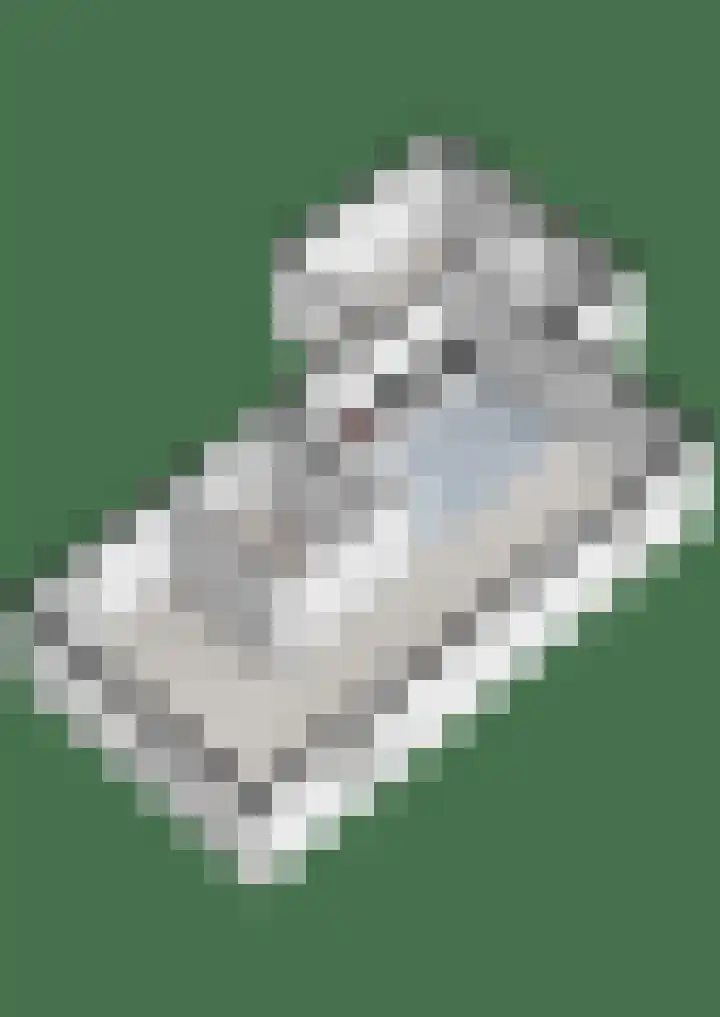 Moesdistel 10 Coevorden thumbnail 66