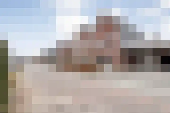 Moesdistel 11 Coevorden thumbnail 4