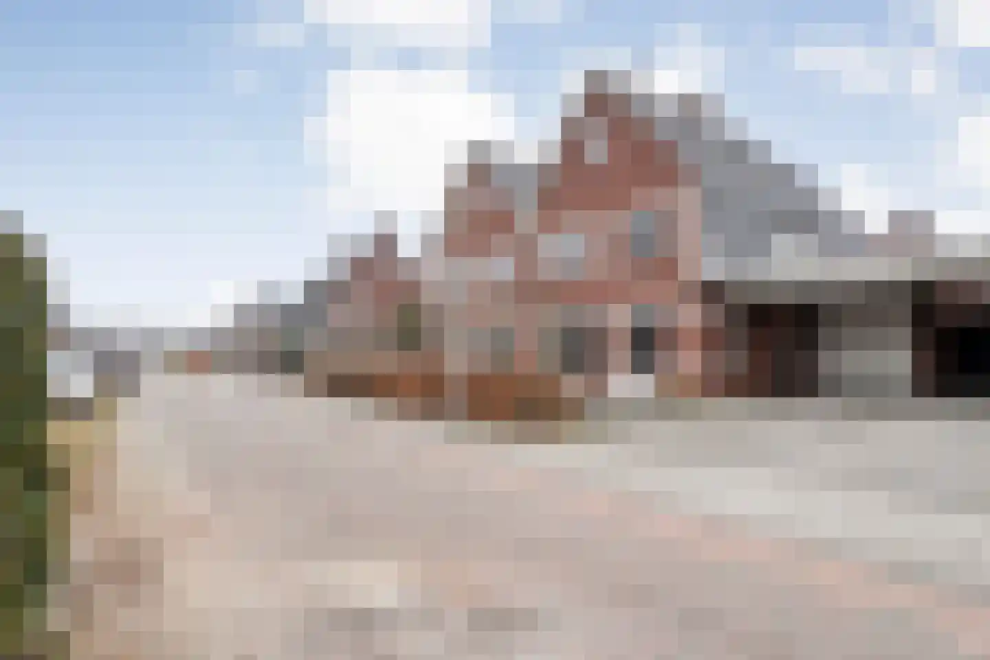 Moesdistel 11 Coevorden thumbnail 4