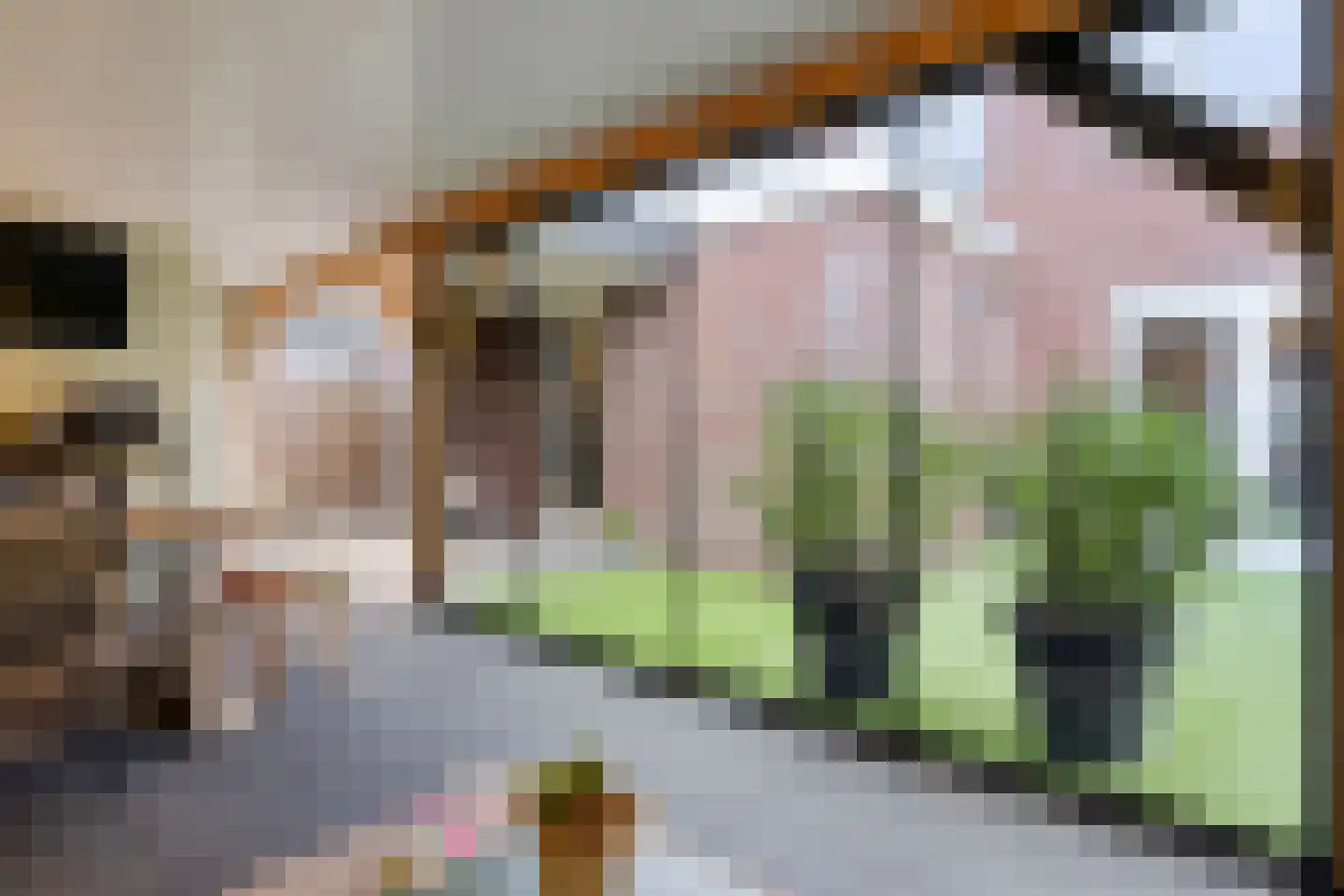 Moesdistel 11 Coevorden thumbnail 40