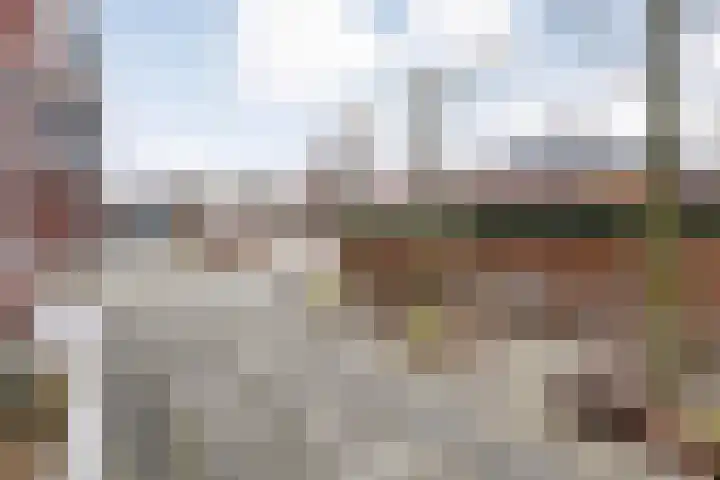 Moesdistel 11 Coevorden thumbnail 5