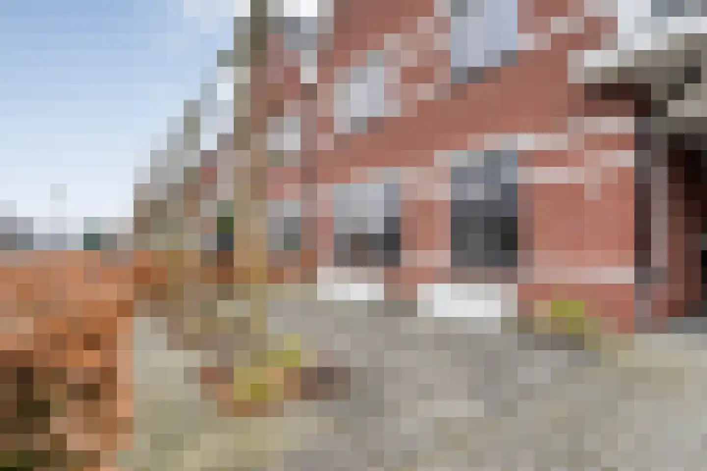 Moesdistel 11 Coevorden thumbnail 6