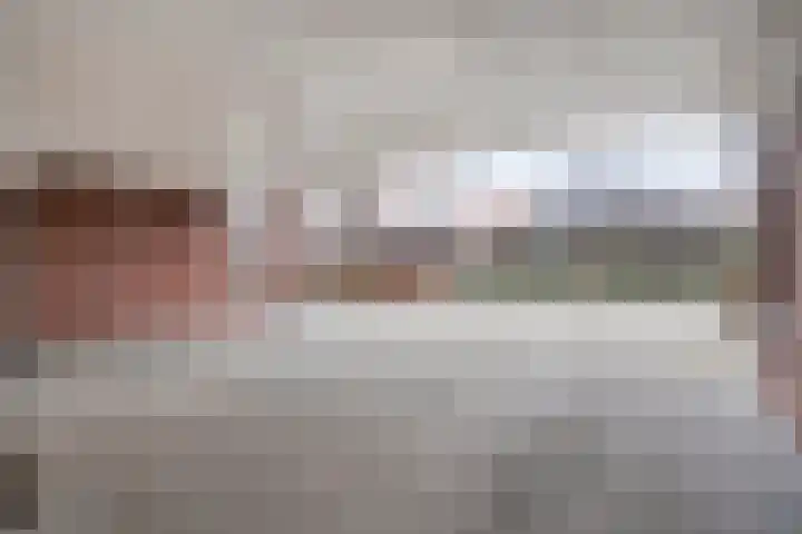 Moesdistel 11 Coevorden thumbnail 7