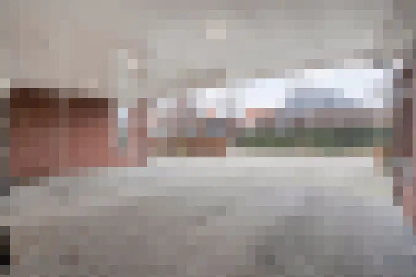 Moesdistel 11 Coevorden thumbnail 7