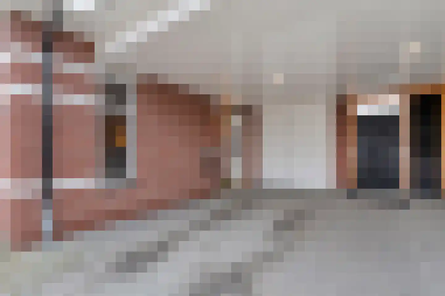 Moesdistel 11 Coevorden thumbnail 8
