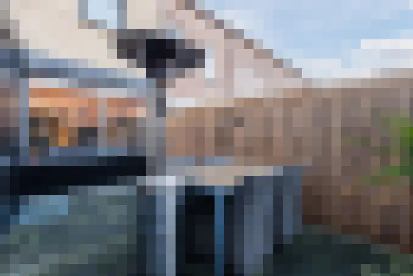Moesdistelstraat 19 Almere thumbnail 37
