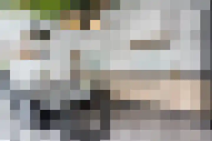 Moeselplein 2 Weert thumbnail 13